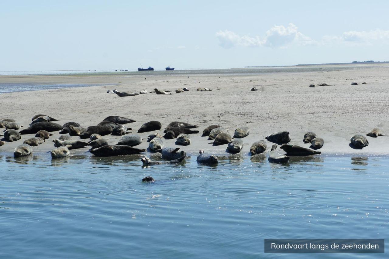 Hotel Molenbos Texel เดอค็อกส์ดอร์ป ภายนอก รูปภาพ